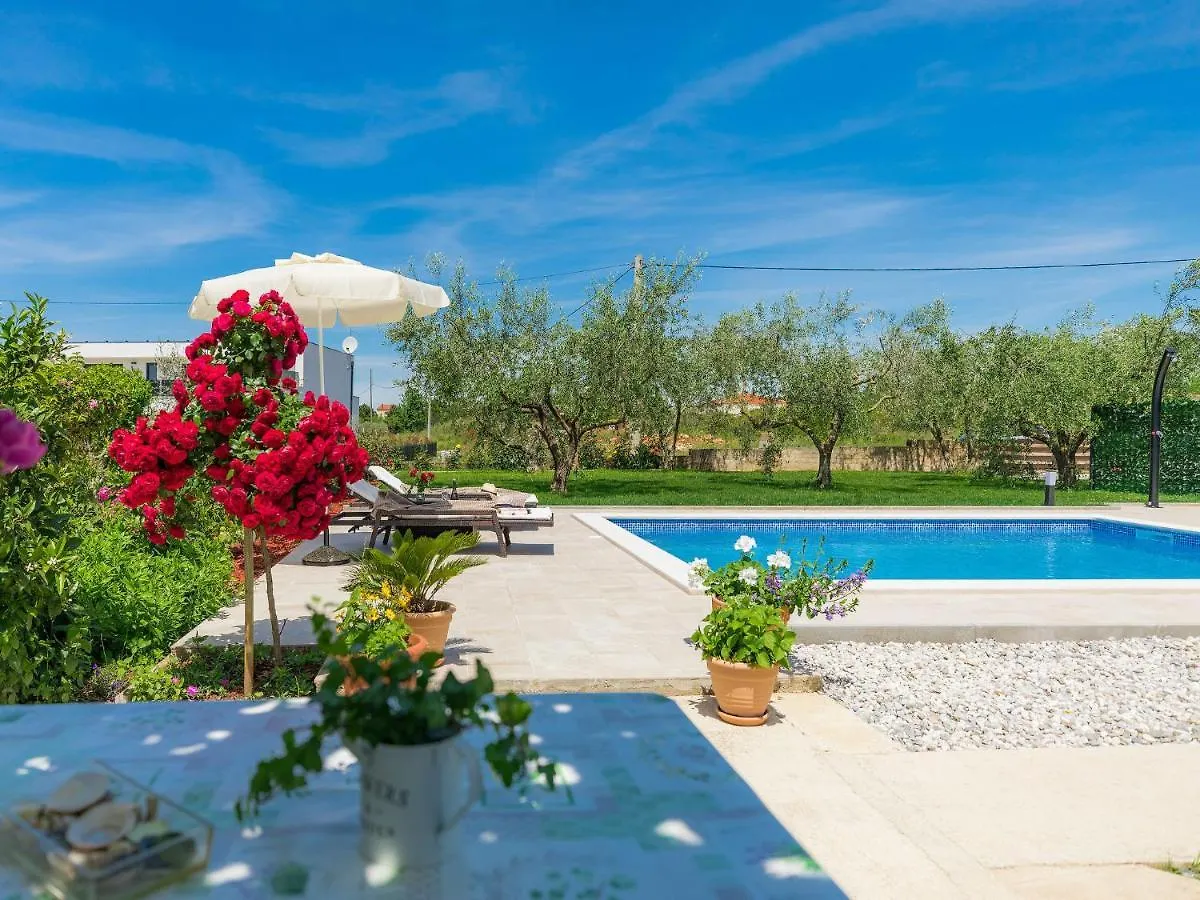 Apartment Chiara By Interhome Novigrad   Novigrad (Istria)